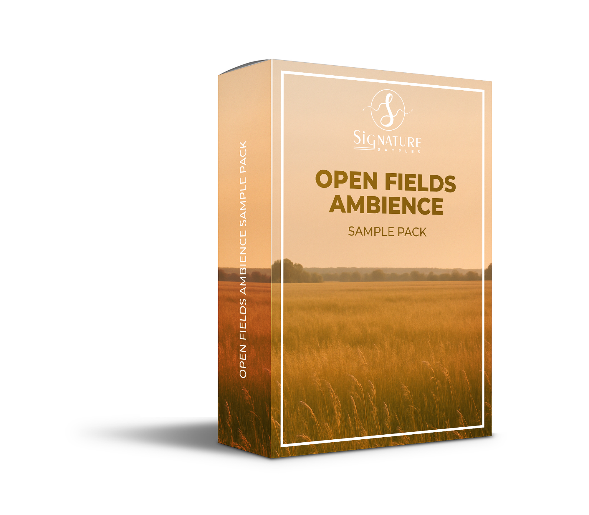 Open Fields (Scottish Highlands)