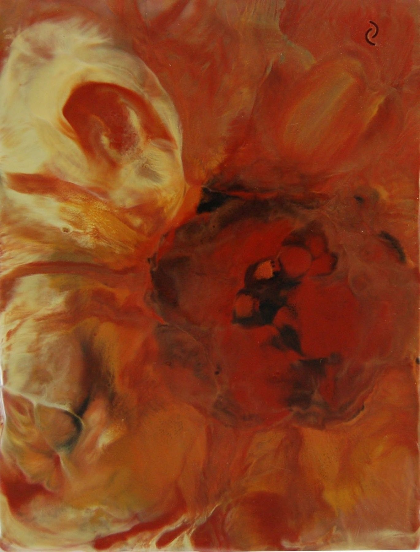 Red Flower | 4x6