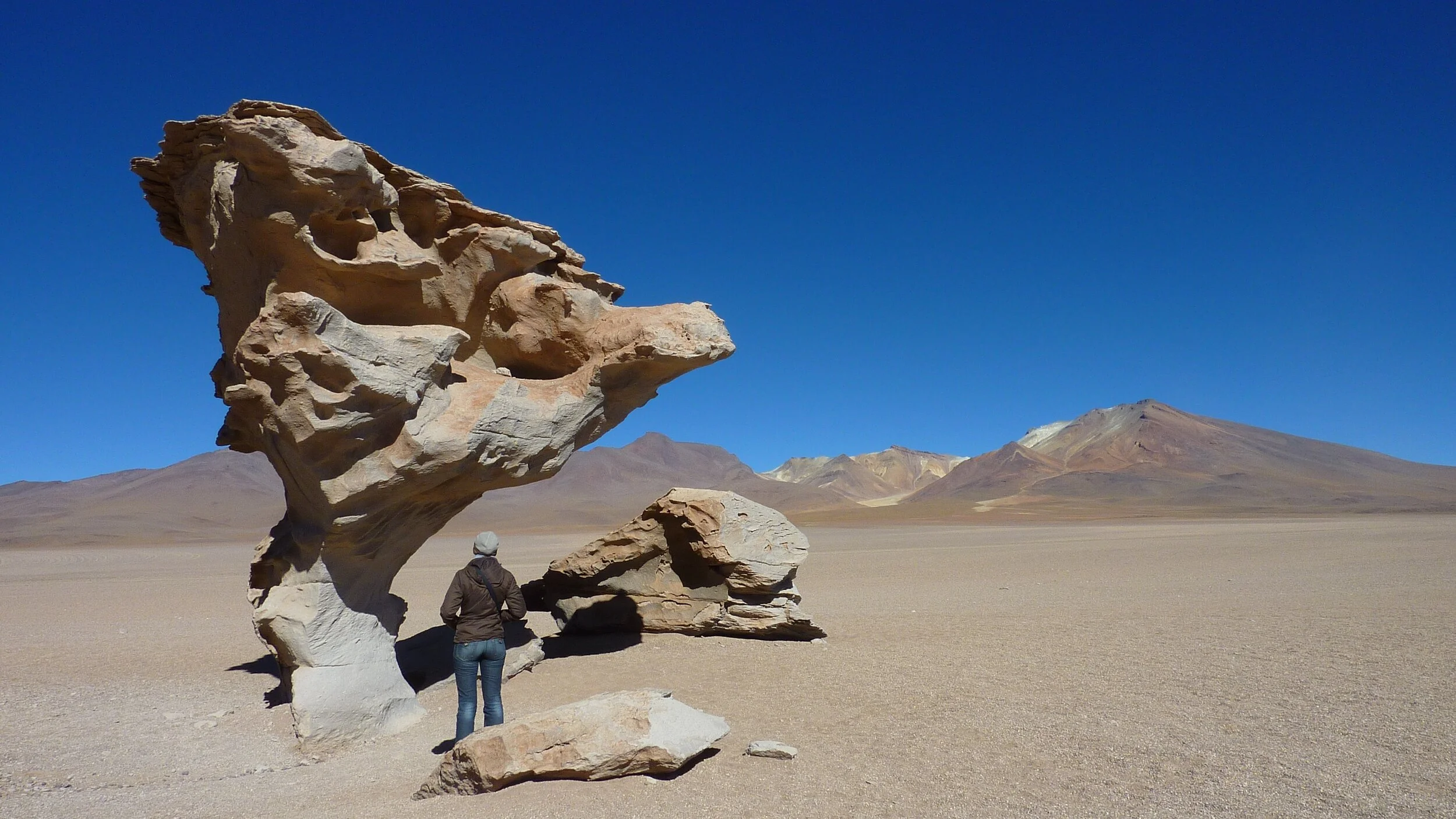 "Cogumelo eólico" - Nuno Pimentel awarded at "Casa das Ciências"