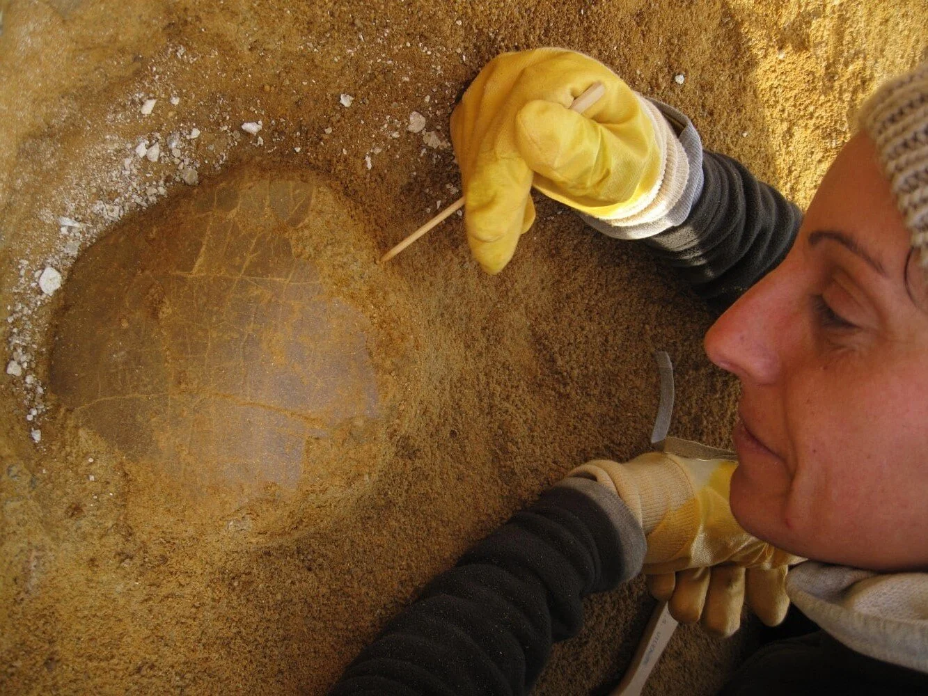 IDL at a paleontological expedition in Guadalajara (Spain)