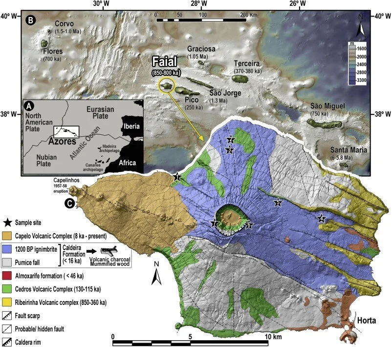 New paper by members of IDL on the abundance of Ginjeira brava in Azores