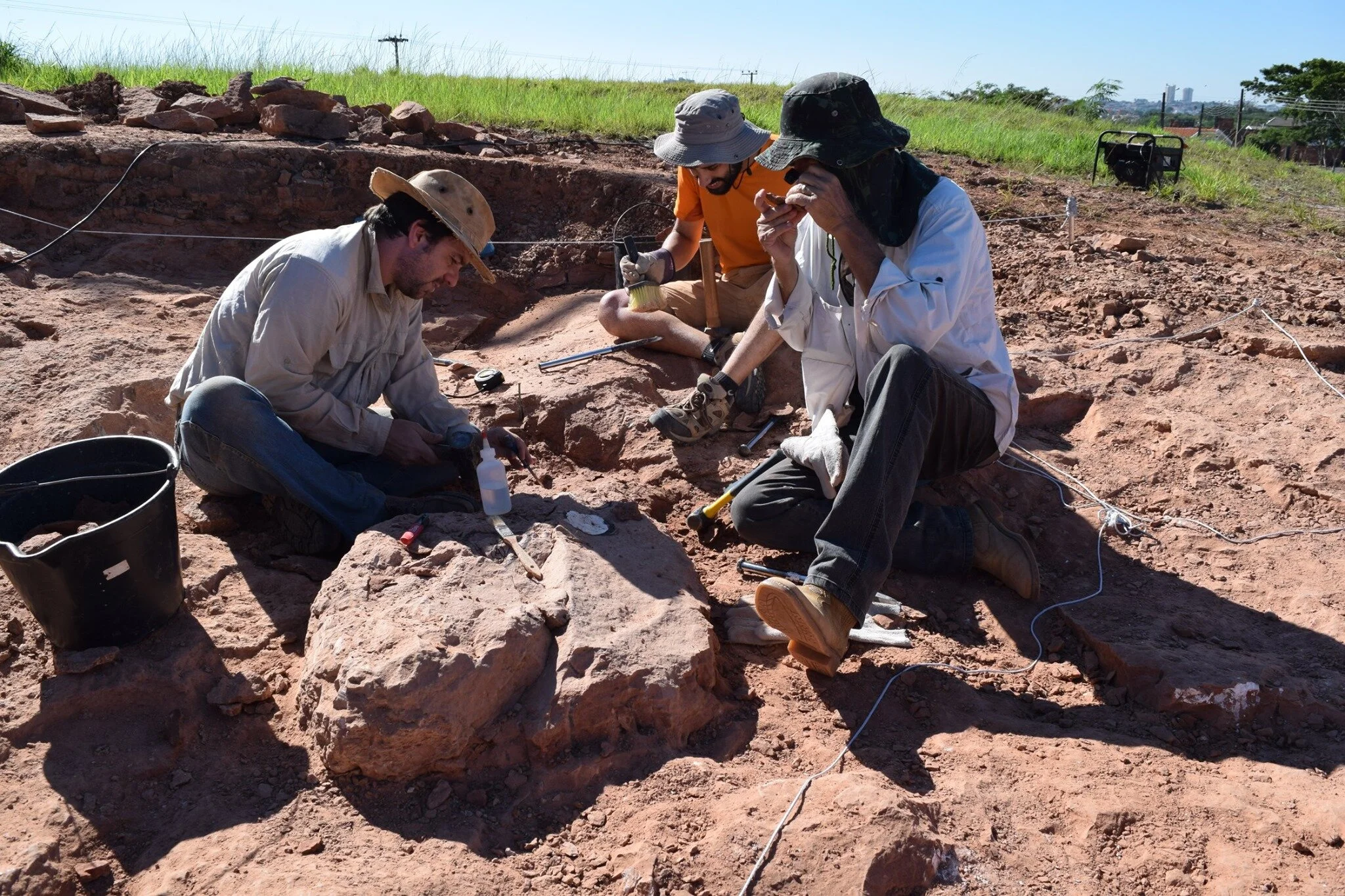 IDL at the Communications of the Argentine Paleontological Association Meeting