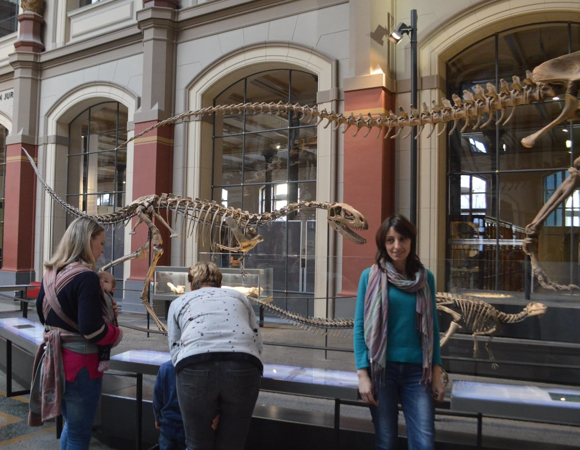 IDL at the Museum für Naturkunde