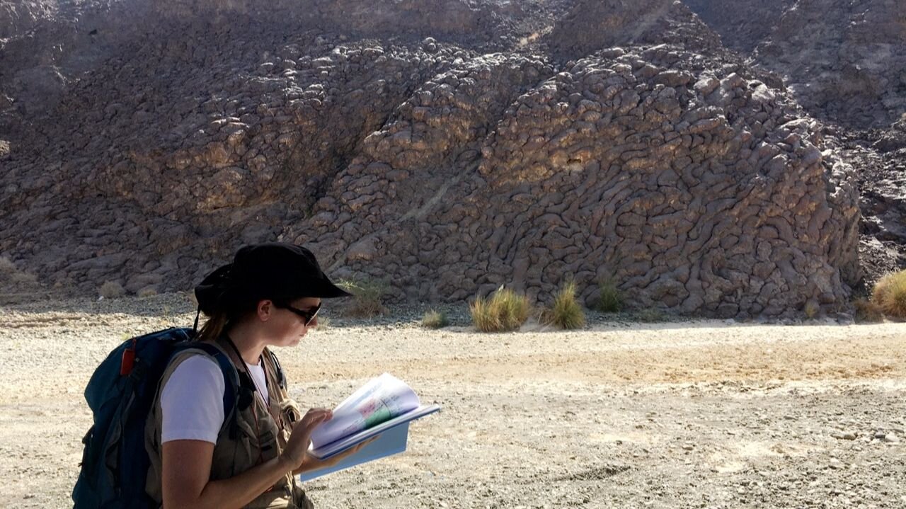 IDL won two Marie Sklodowska-Curie scholarships.