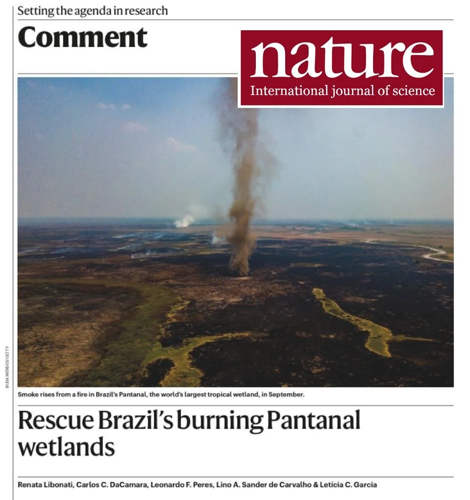 Artigo Nature: Rescue Brazil’s burning Pantanal wetlands
