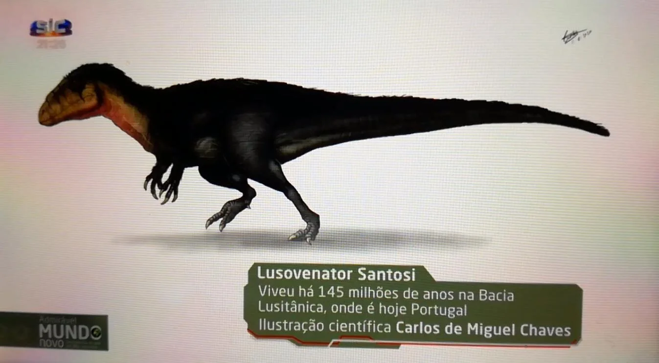 Elisabete Malafaia em entrevista: a descoberta de um novo dinossáurio em Portugal