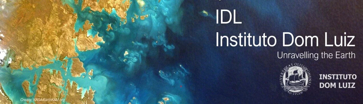 IDL Annual Conference 2021