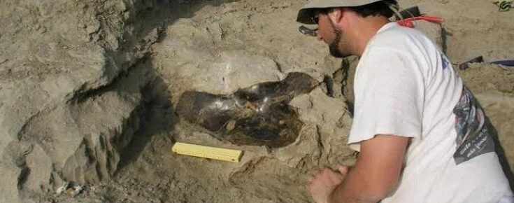 Carlos Marques da Silva and Mário Cachão, guest speakers of the International Paleontology Congress