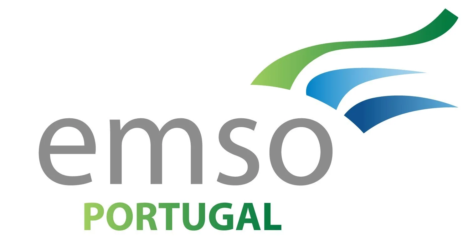 Estações sísmicas de fundo oceânico (OBS) desenvolvidas no IDL são peças fundamentais em projeto europeu