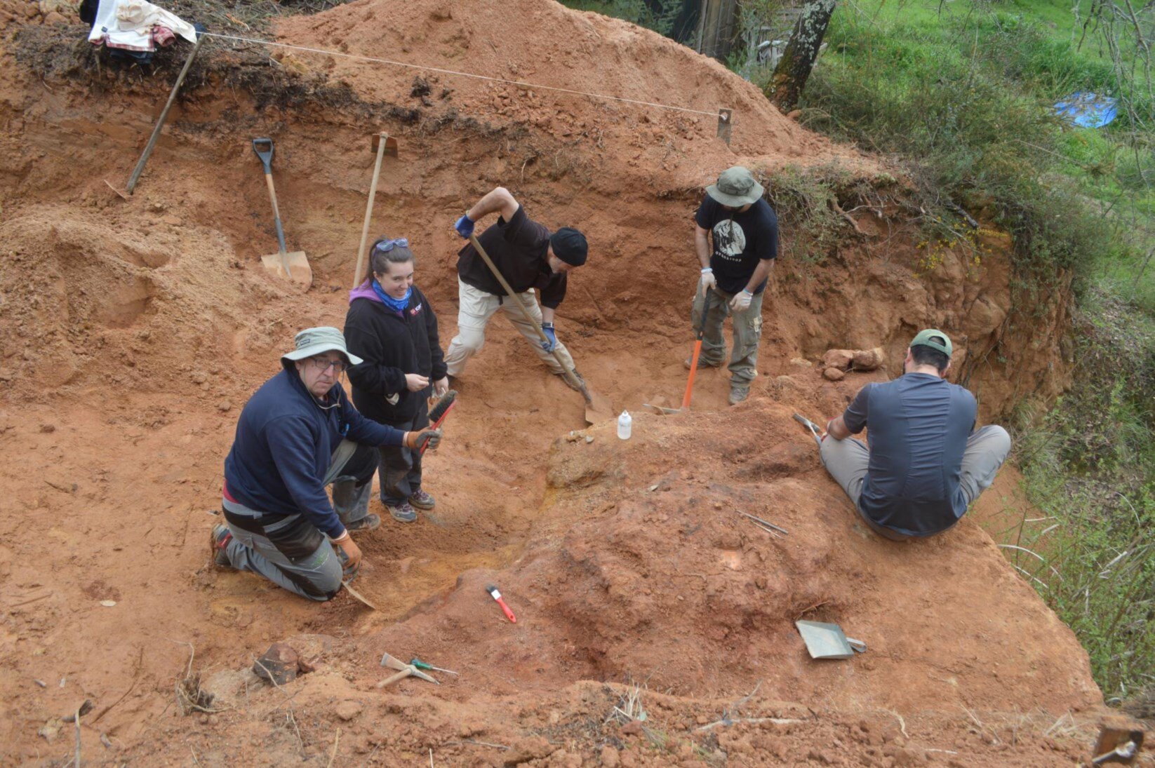 Fossils of dinosaurs and turtles found in Pombal