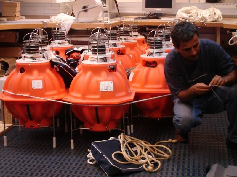 IDL in Ciência 2017