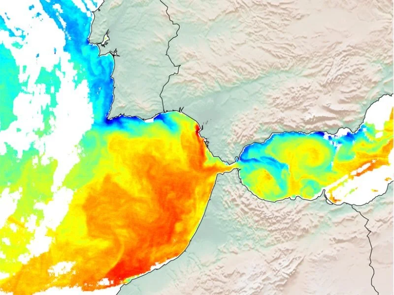 Article of Joaquim Luís highlighted this week in EOS