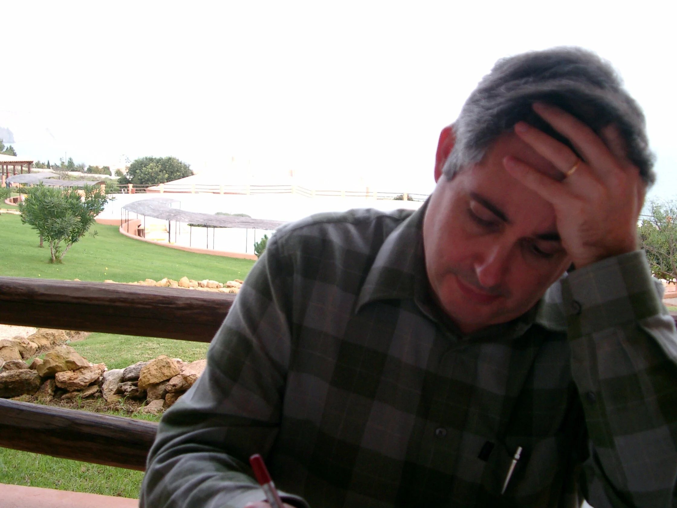 Say What?! IDL beyond the Science - Carlos da Camara