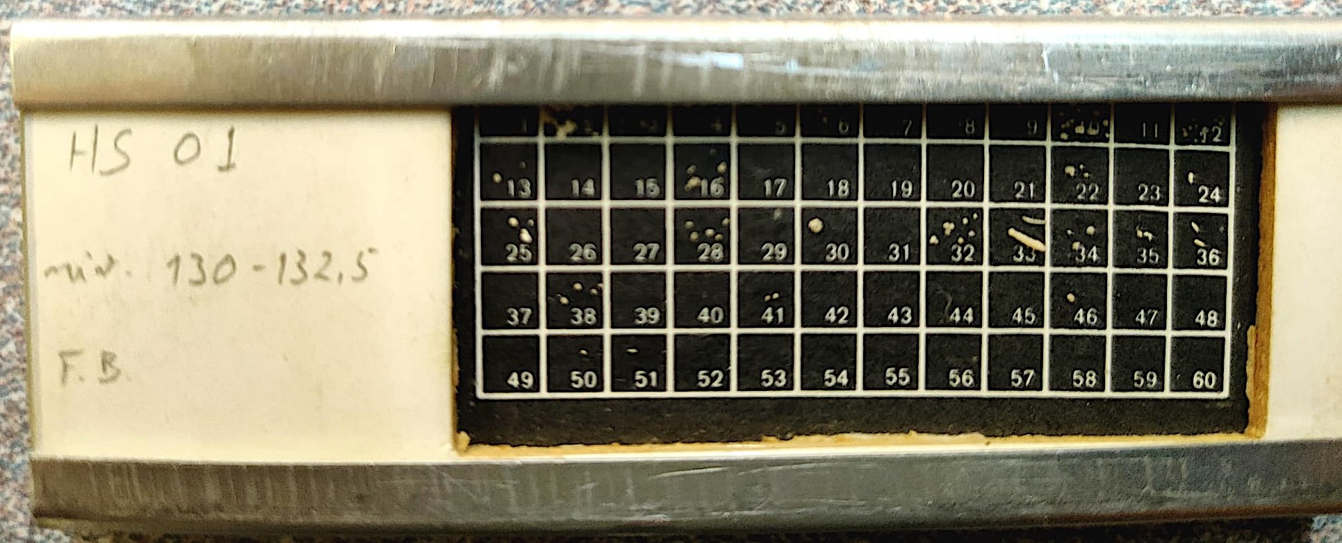 Benthic Foraminifera_NAtlantic core.JPEG