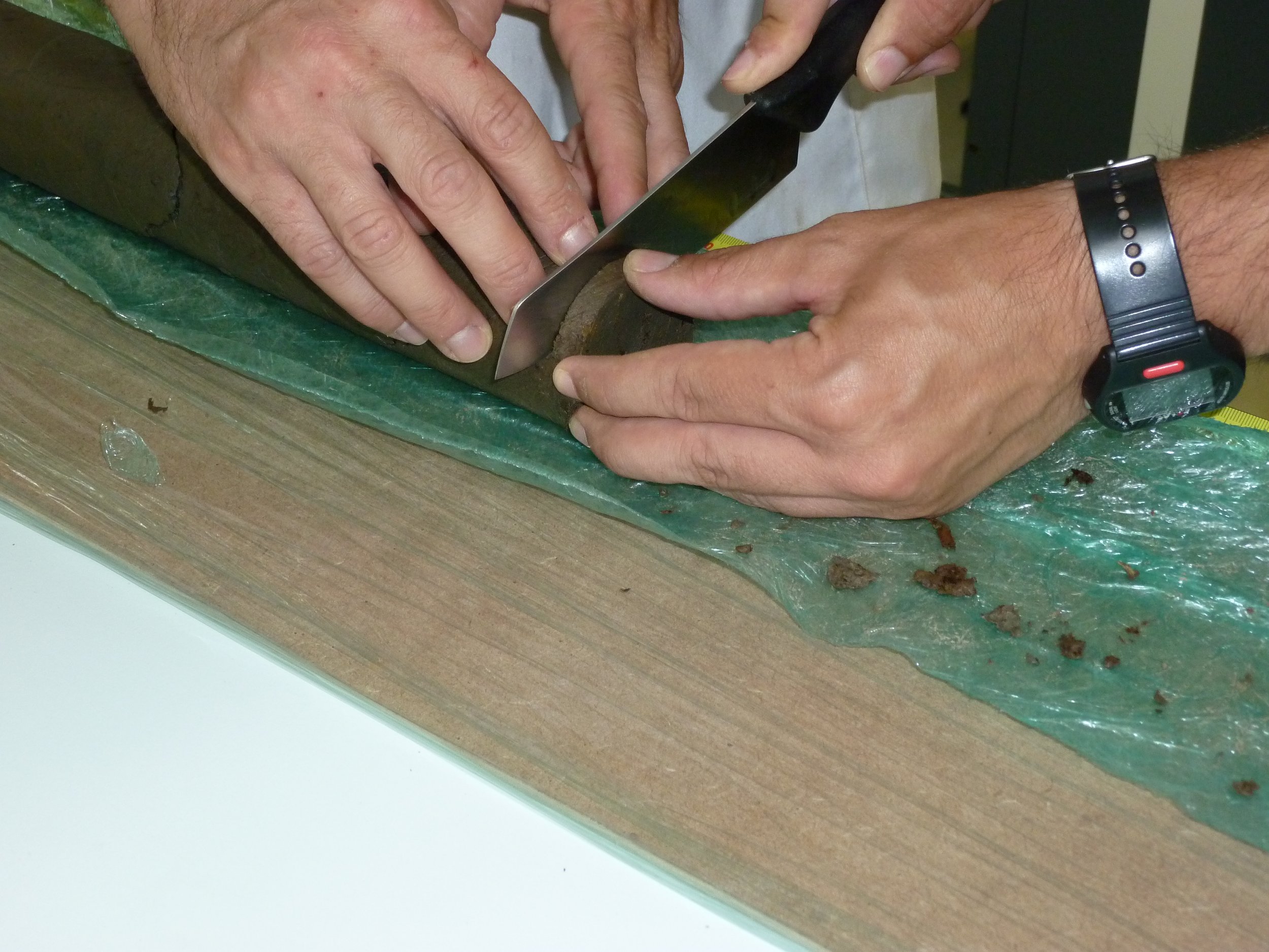 high marsh core subsampling.JPG