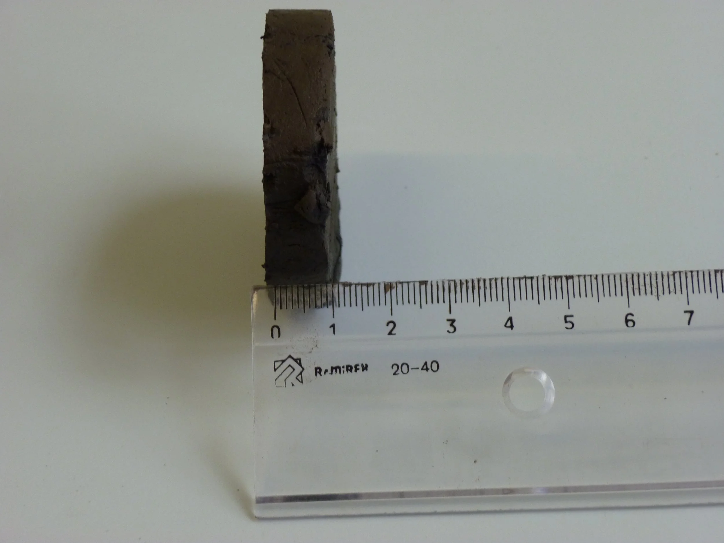 tidal marsh subsample.JPG