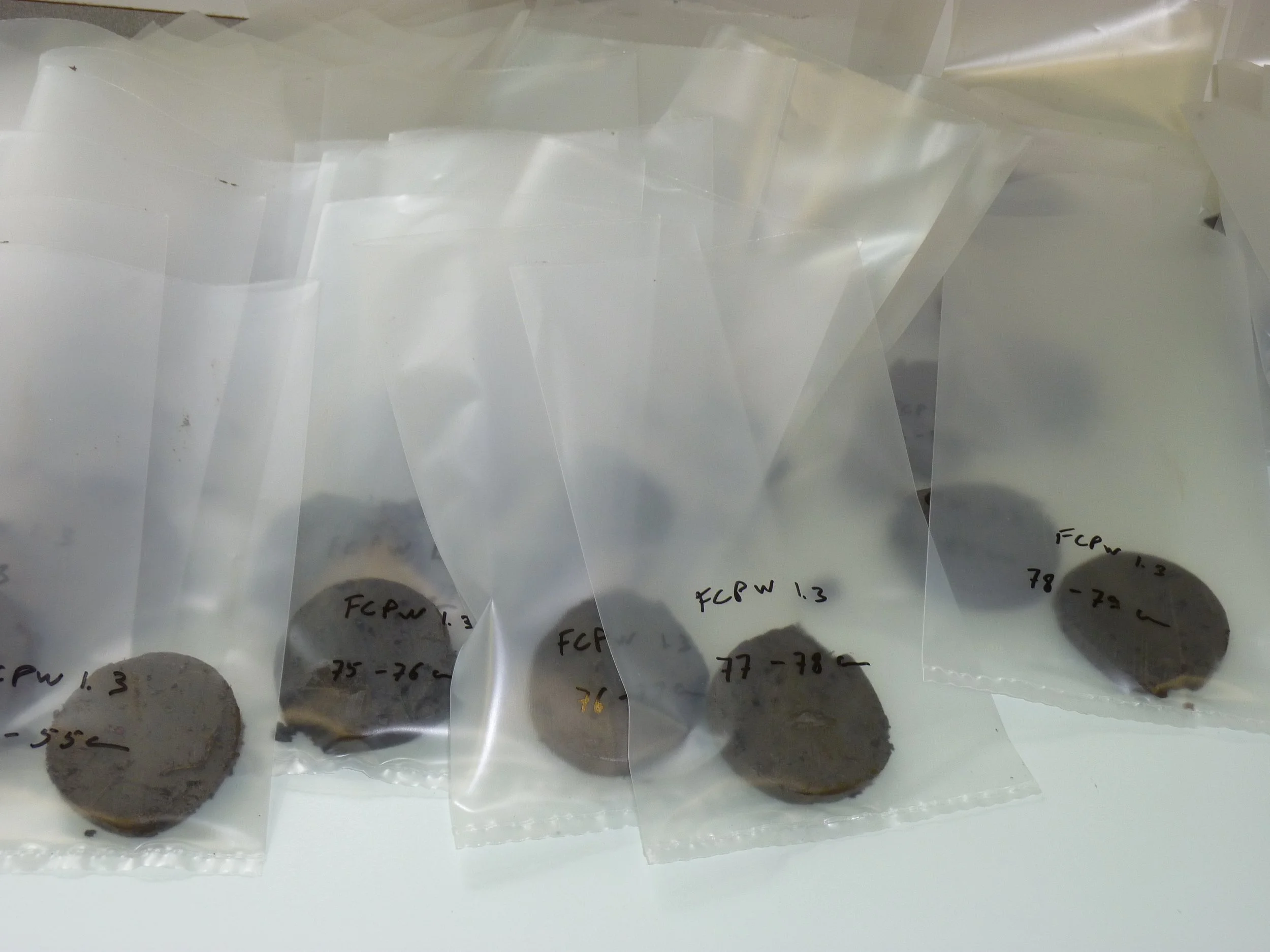 tidal marsh subsamples.JPG