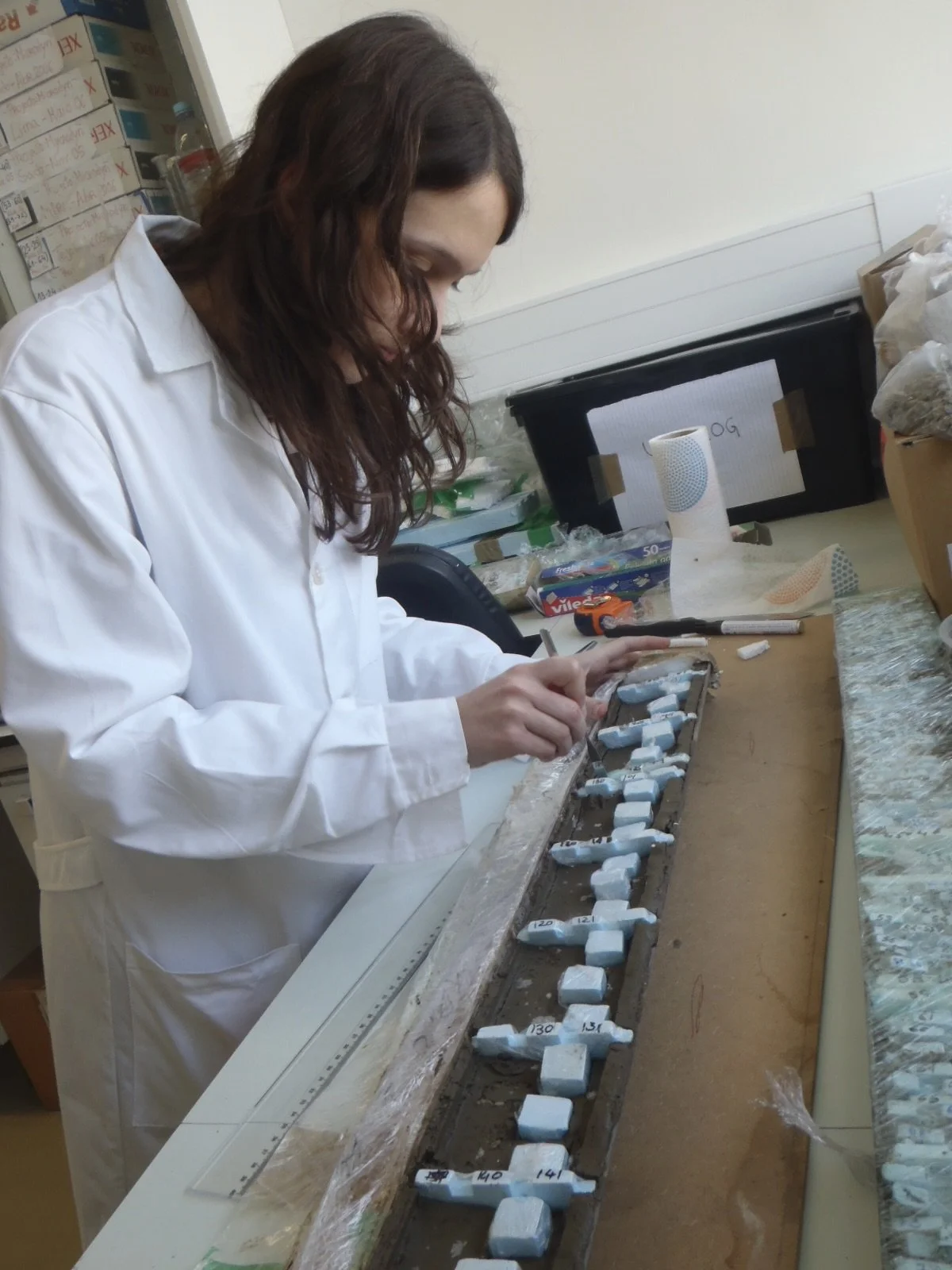 Continental shelf core subsampling.JPG