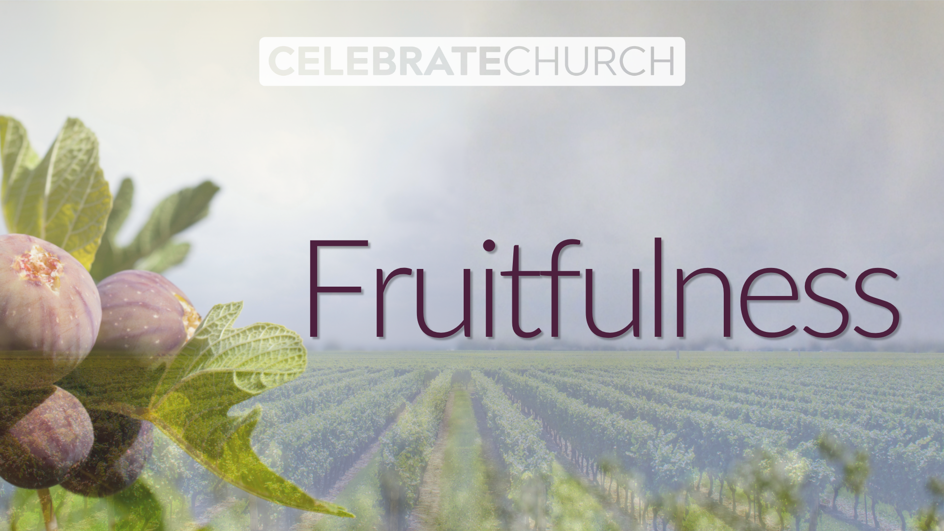 Fruitfulness (Week 1) 8/23/26