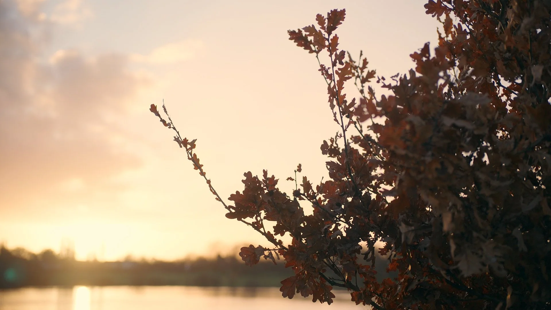 Still 2026-04-09 153600_1.9.1.jpg