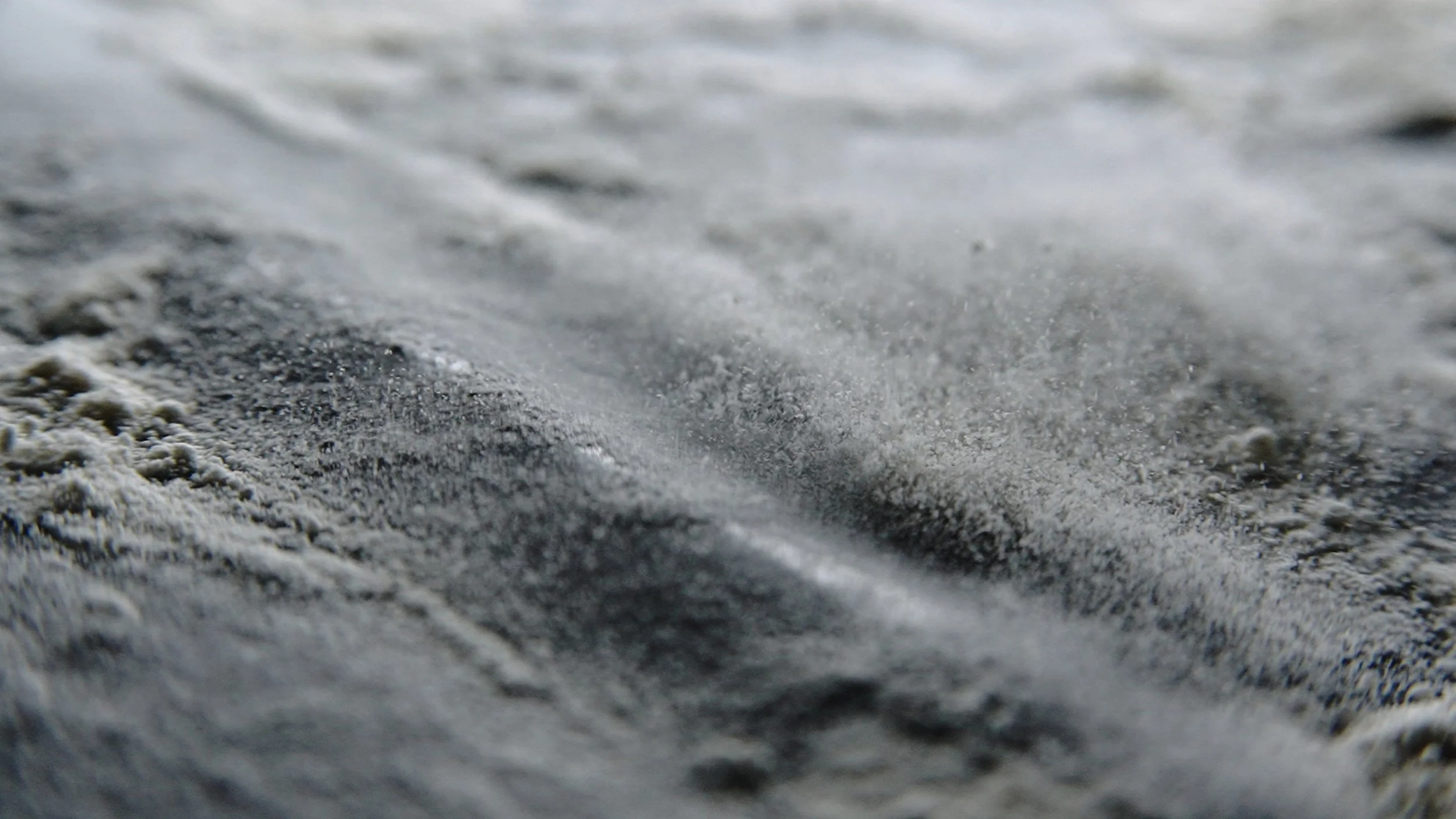 Still 2026-01-17 170036_1.1.1.jpg