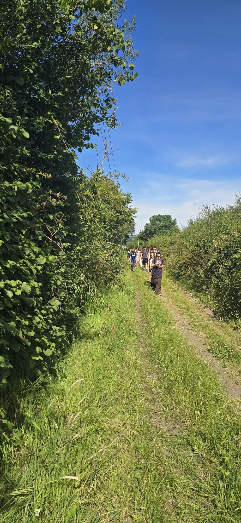 IMG_9826.JPG