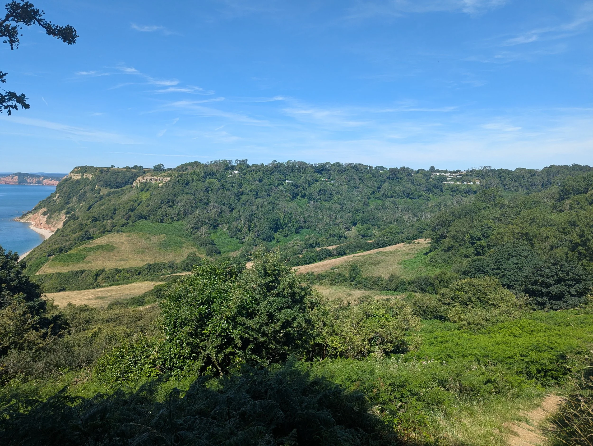 the view after the climb.jpg