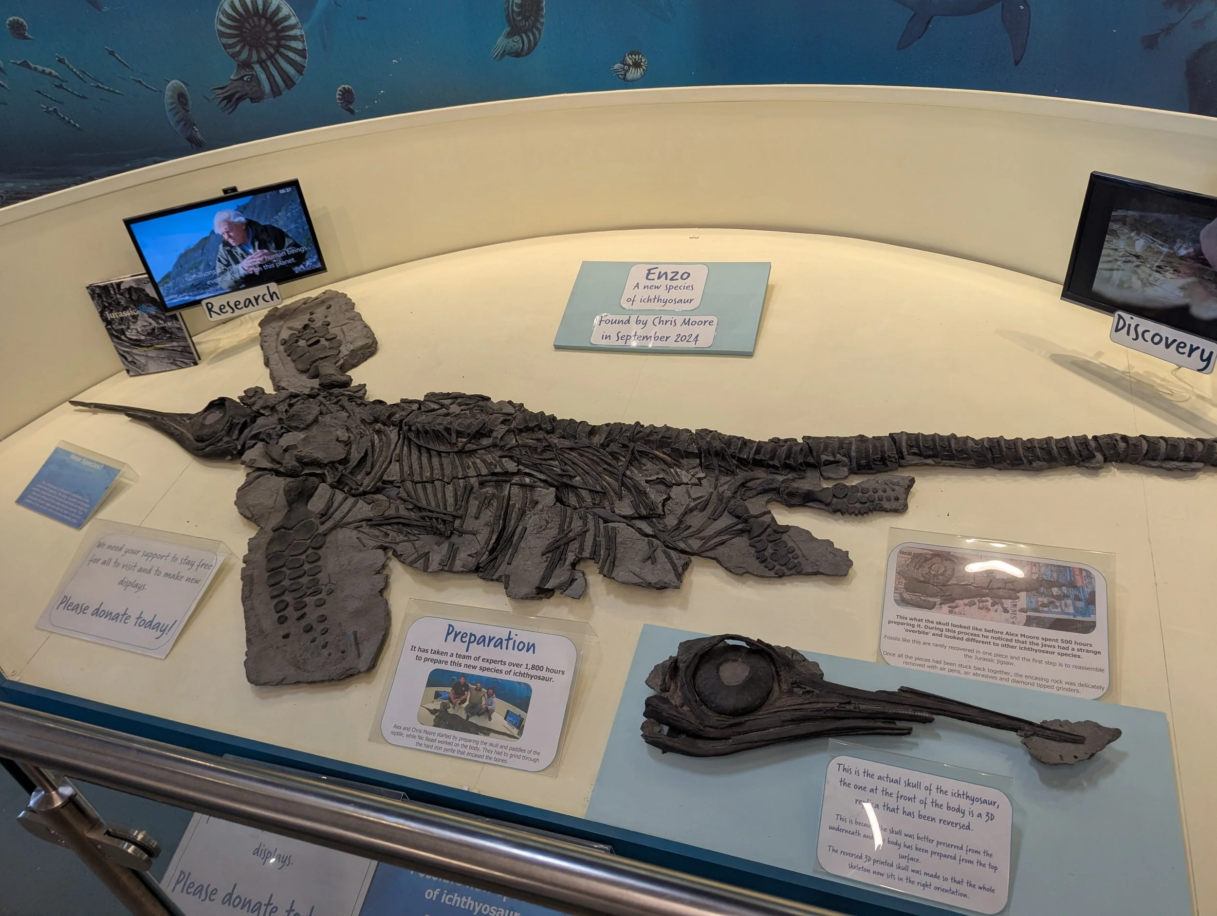 Charmouth Visitor centre.jpg