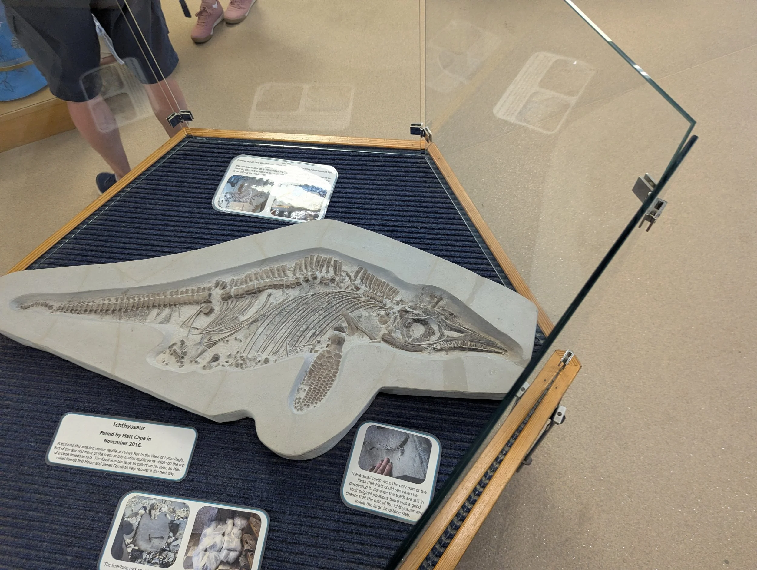 Charmouth Vistor centre 2.jpg