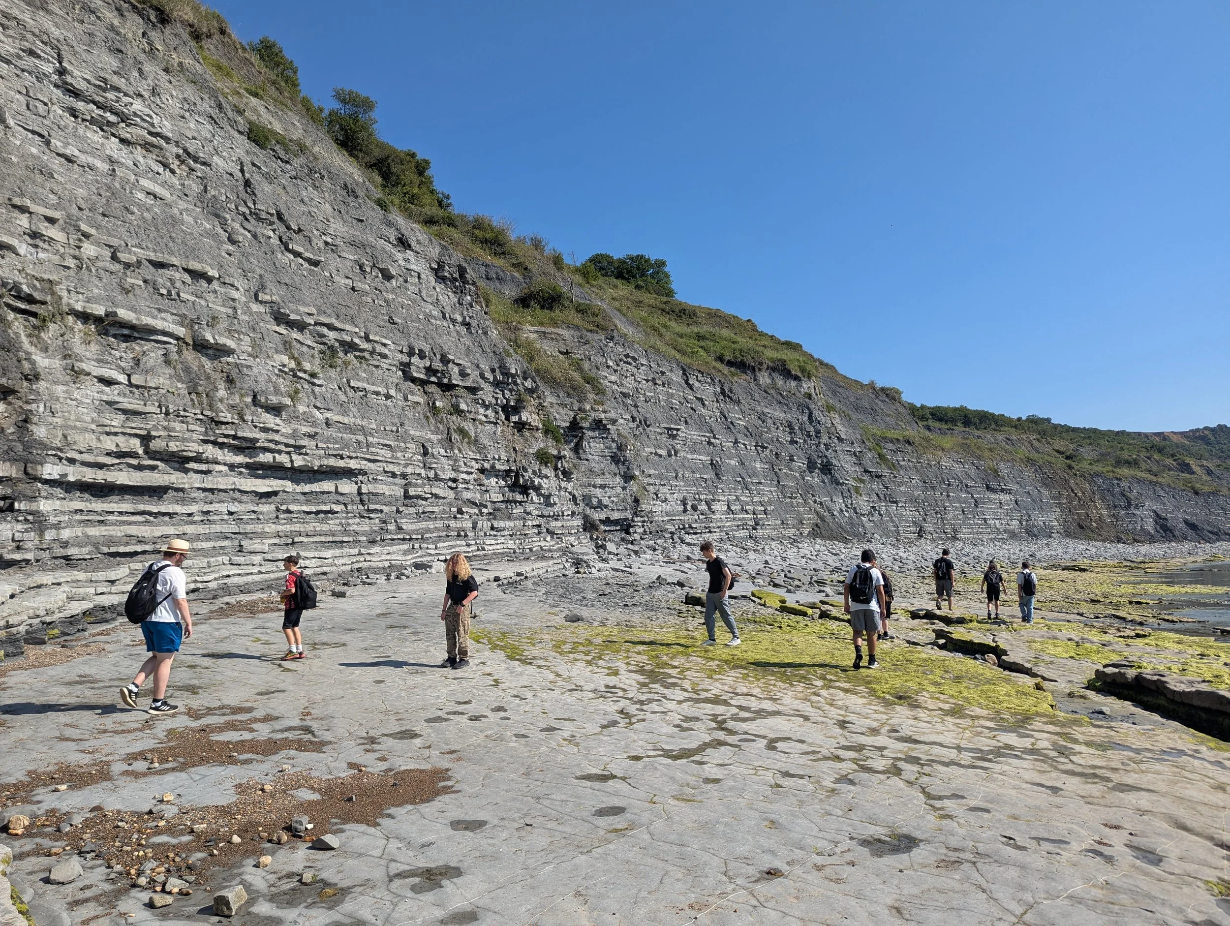 Foreshore.jpg