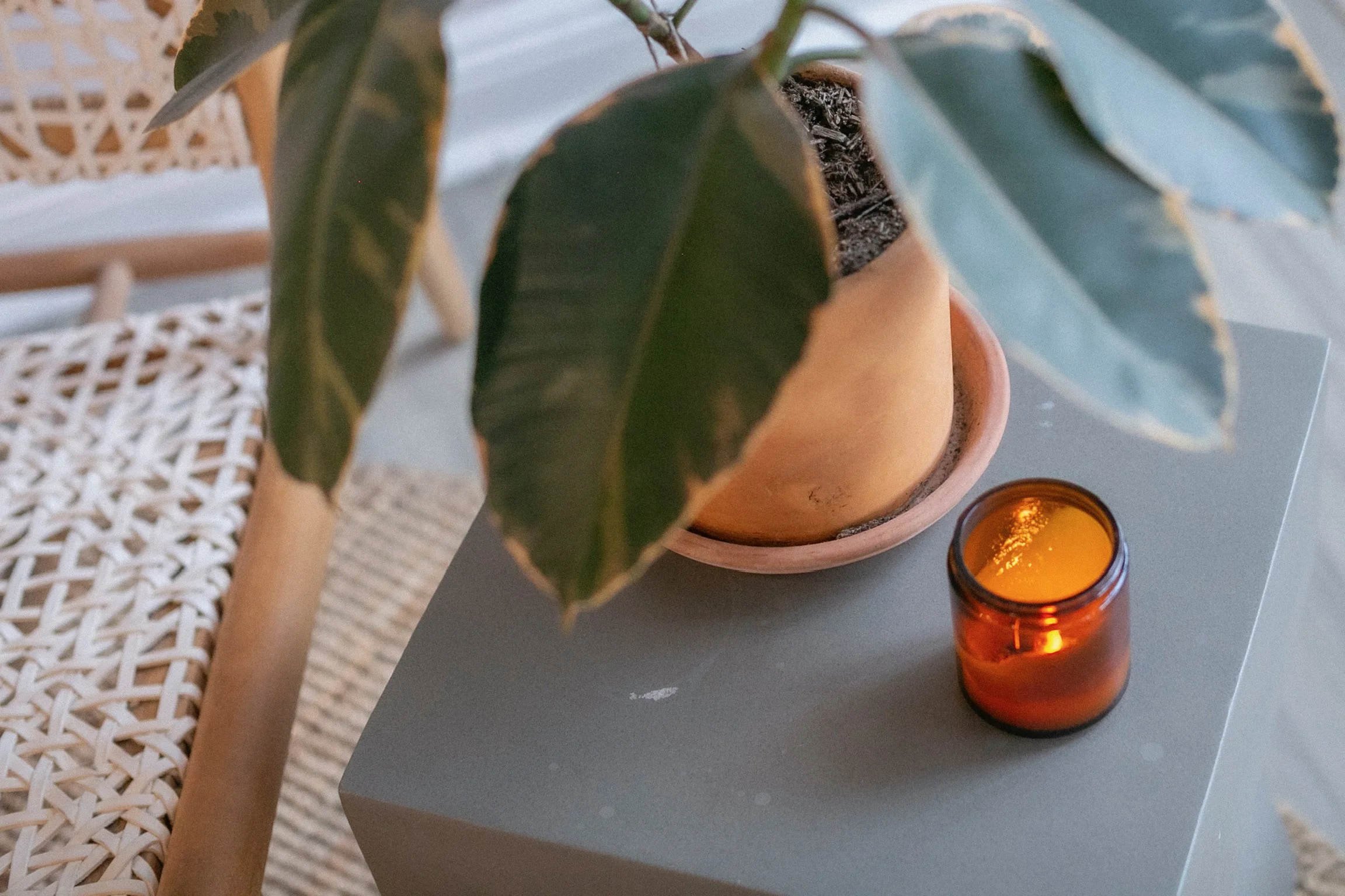 Your 2026 Hair Goals