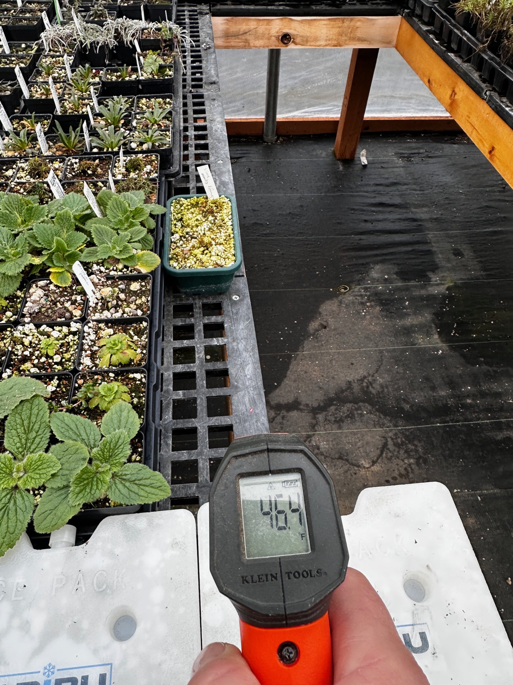 Test point on the greenhouse bench top
