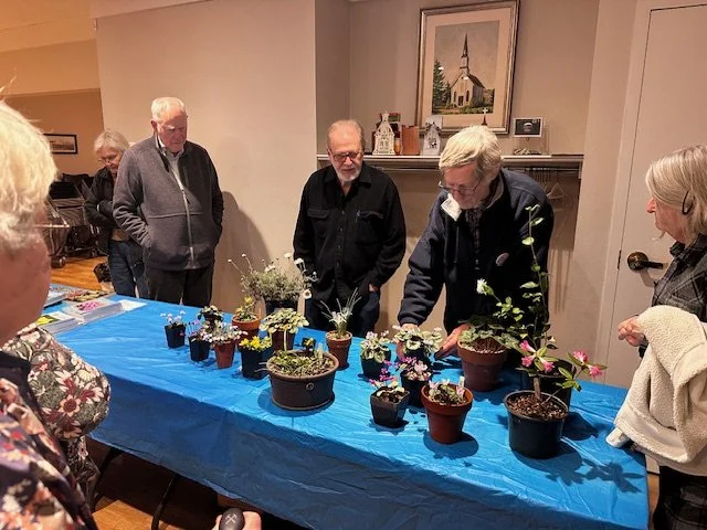 Columbia Willamette NARGS meeting