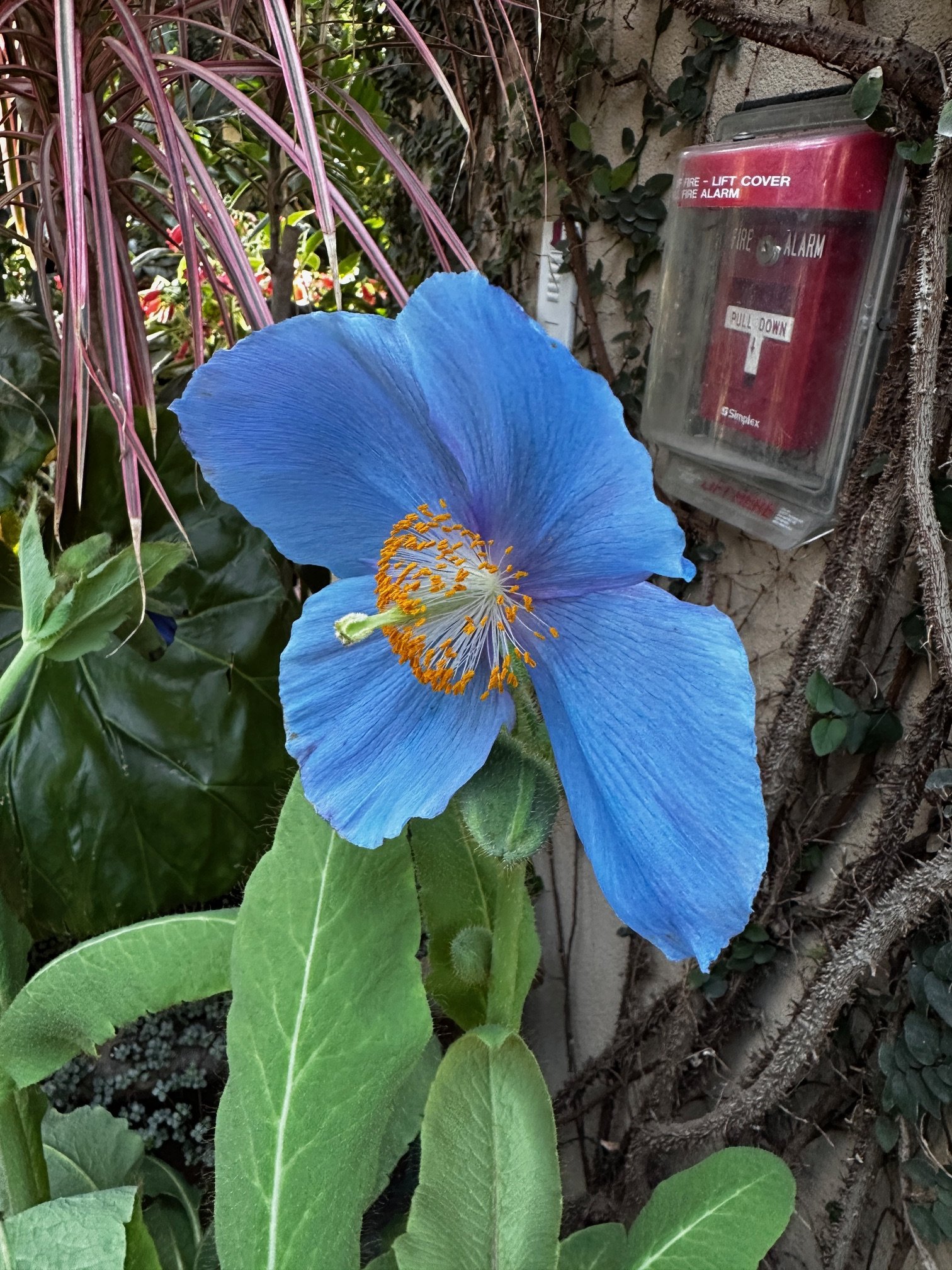 “There never was a good war or a bad peace.”