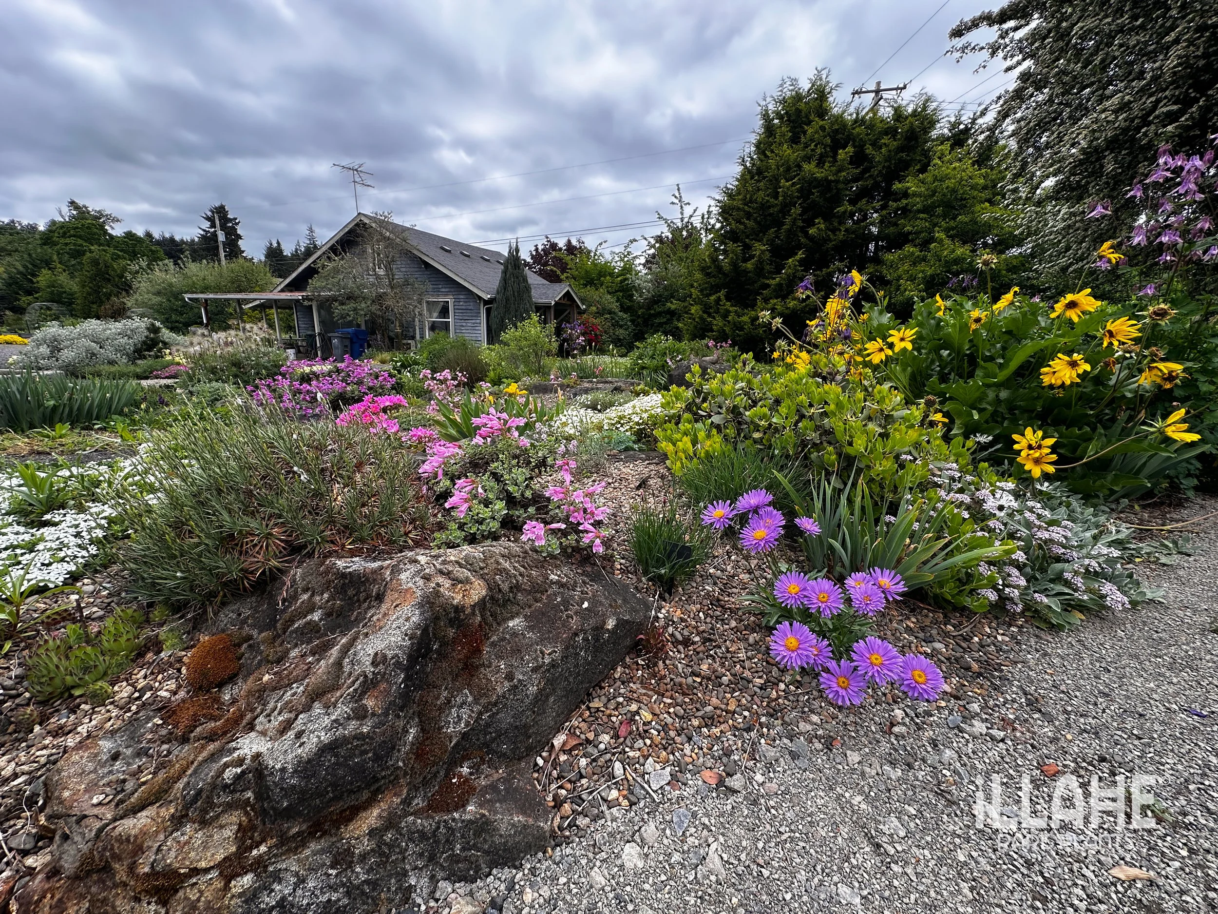 Save the date for the Open Gardens and Plant Sale!