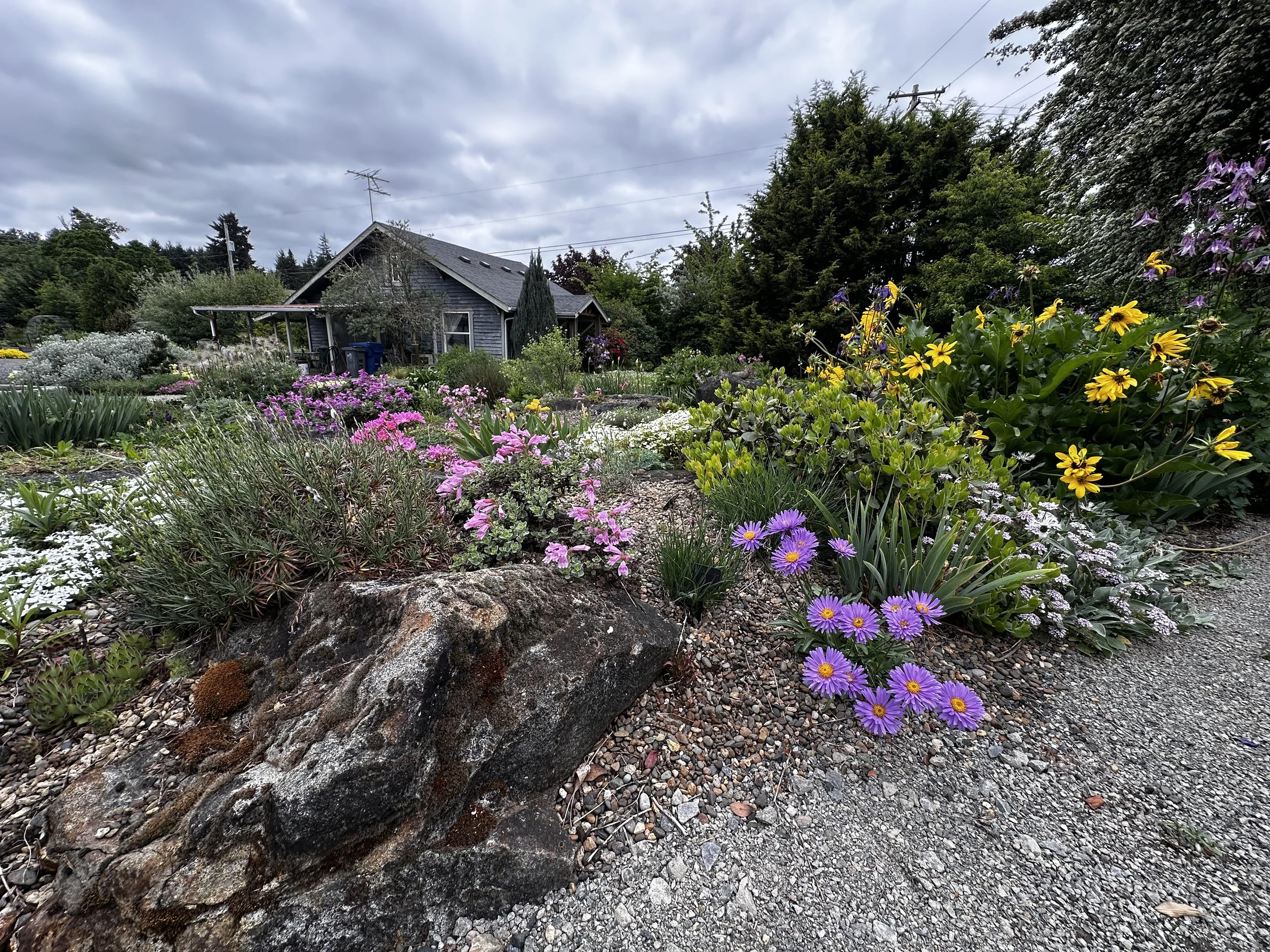 May 16th Illahe Open Garden and Plant Sale