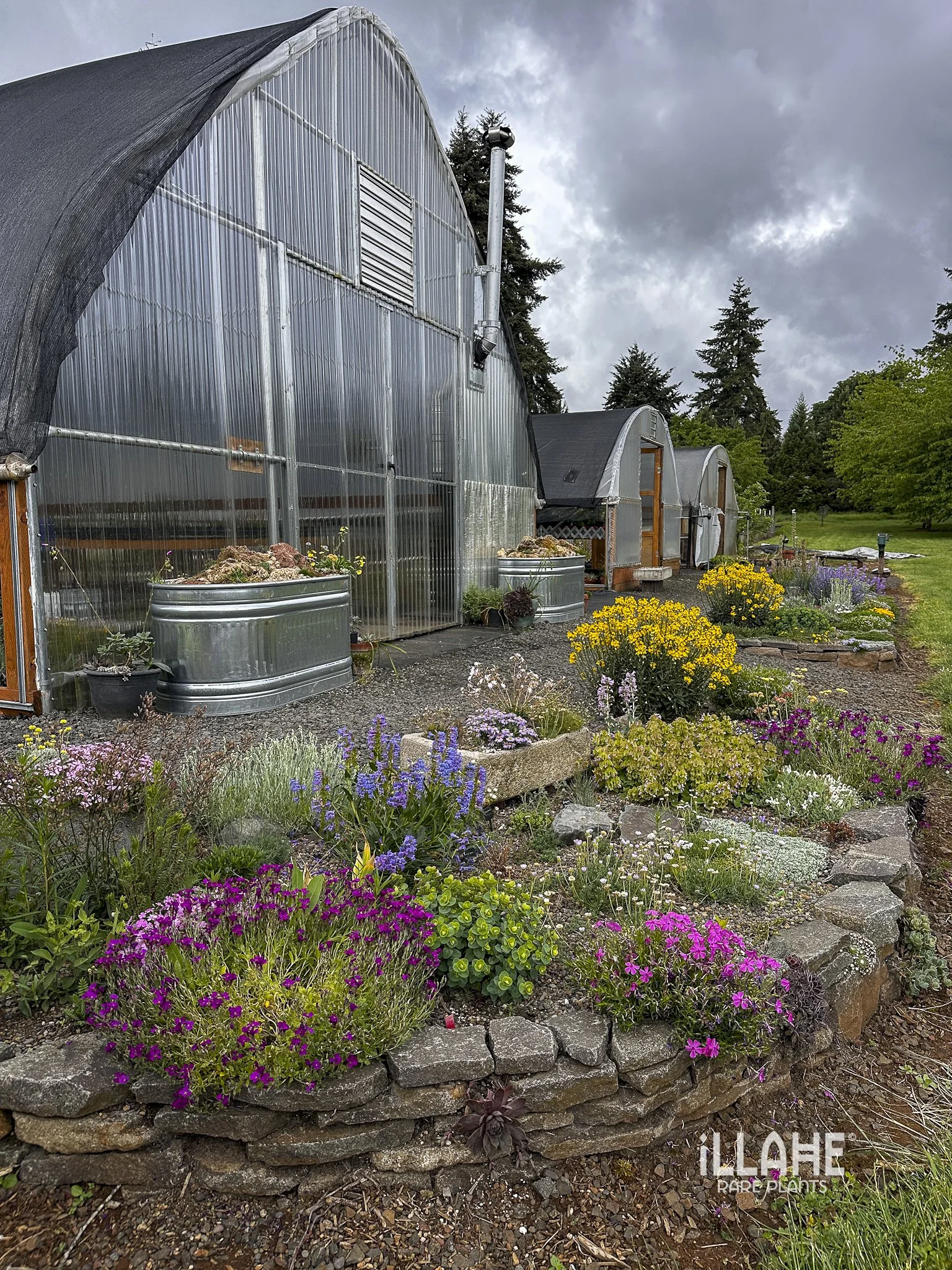 Open Garden and Plant Sale Reminder