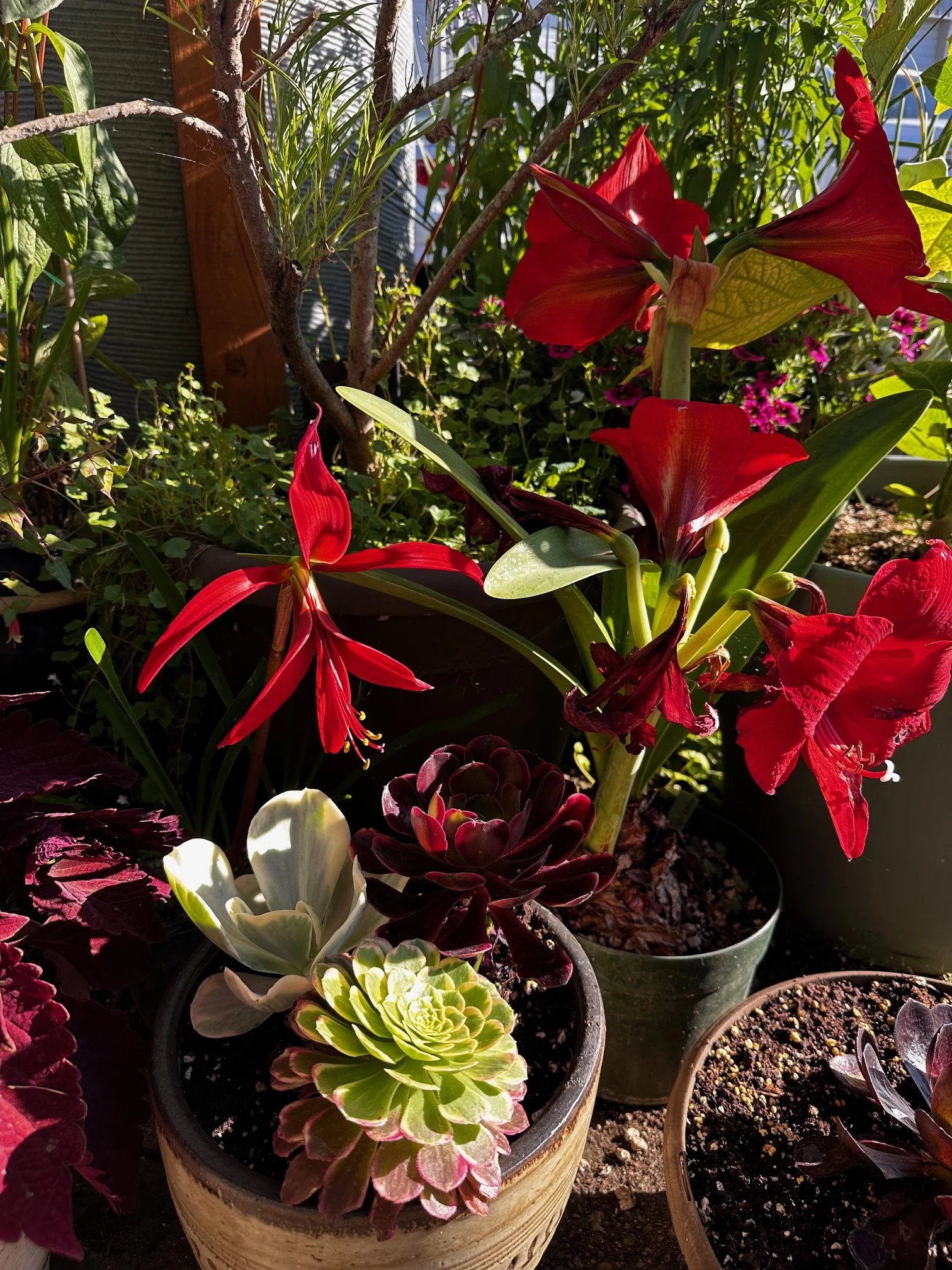 Happy Solstice!