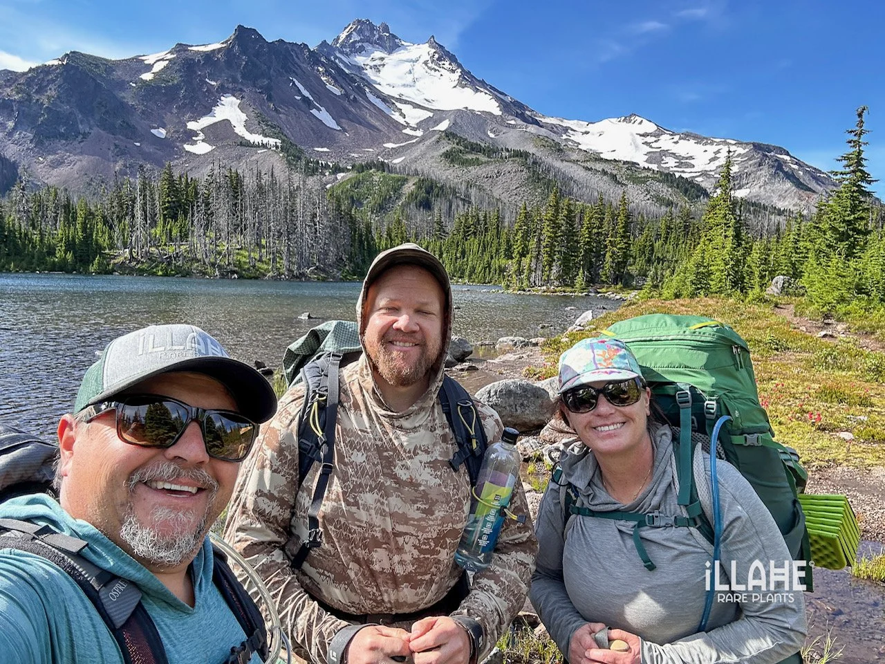 skunk cabbage-12 (6).JPG