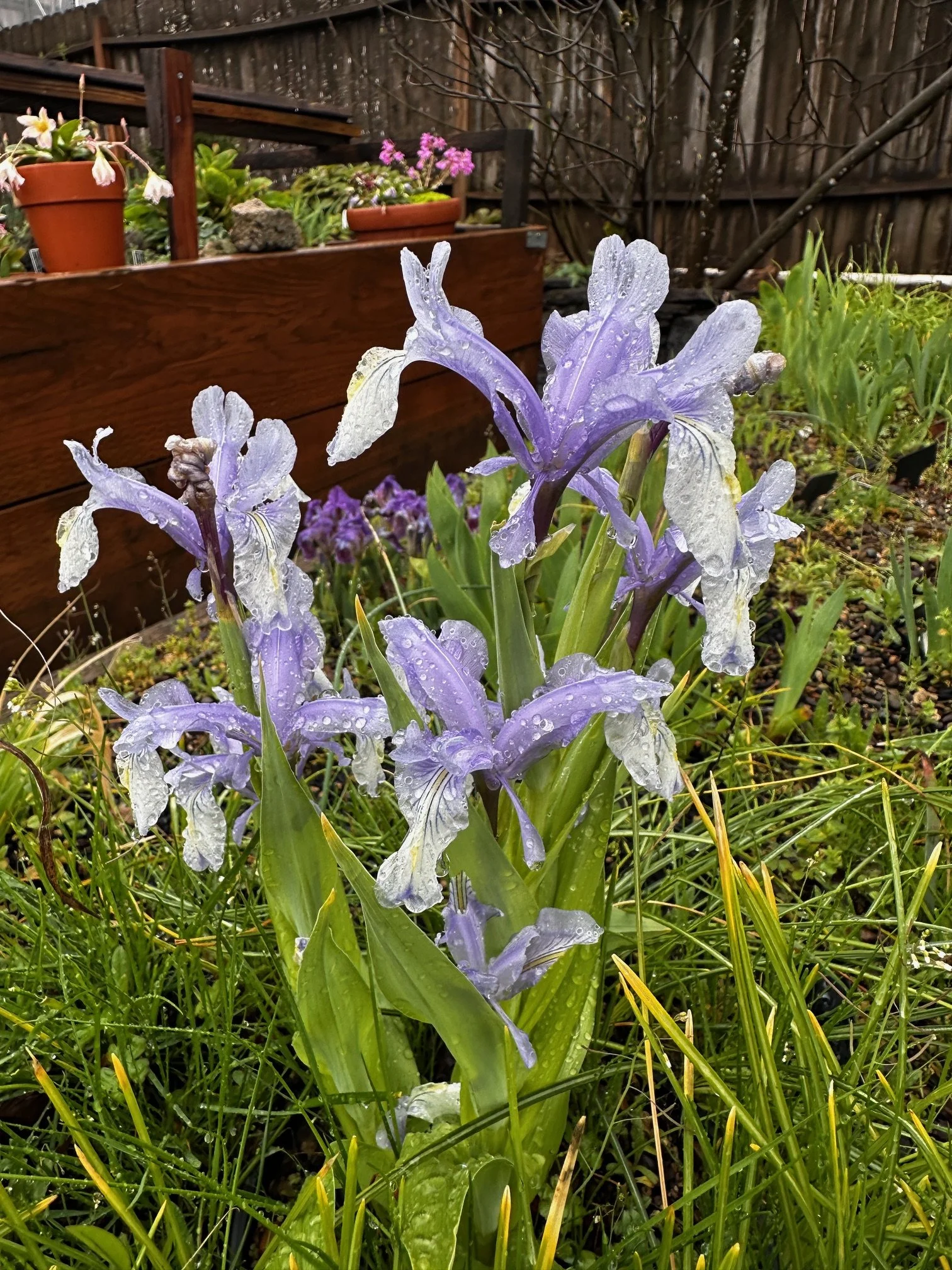IMG_1205.JPG