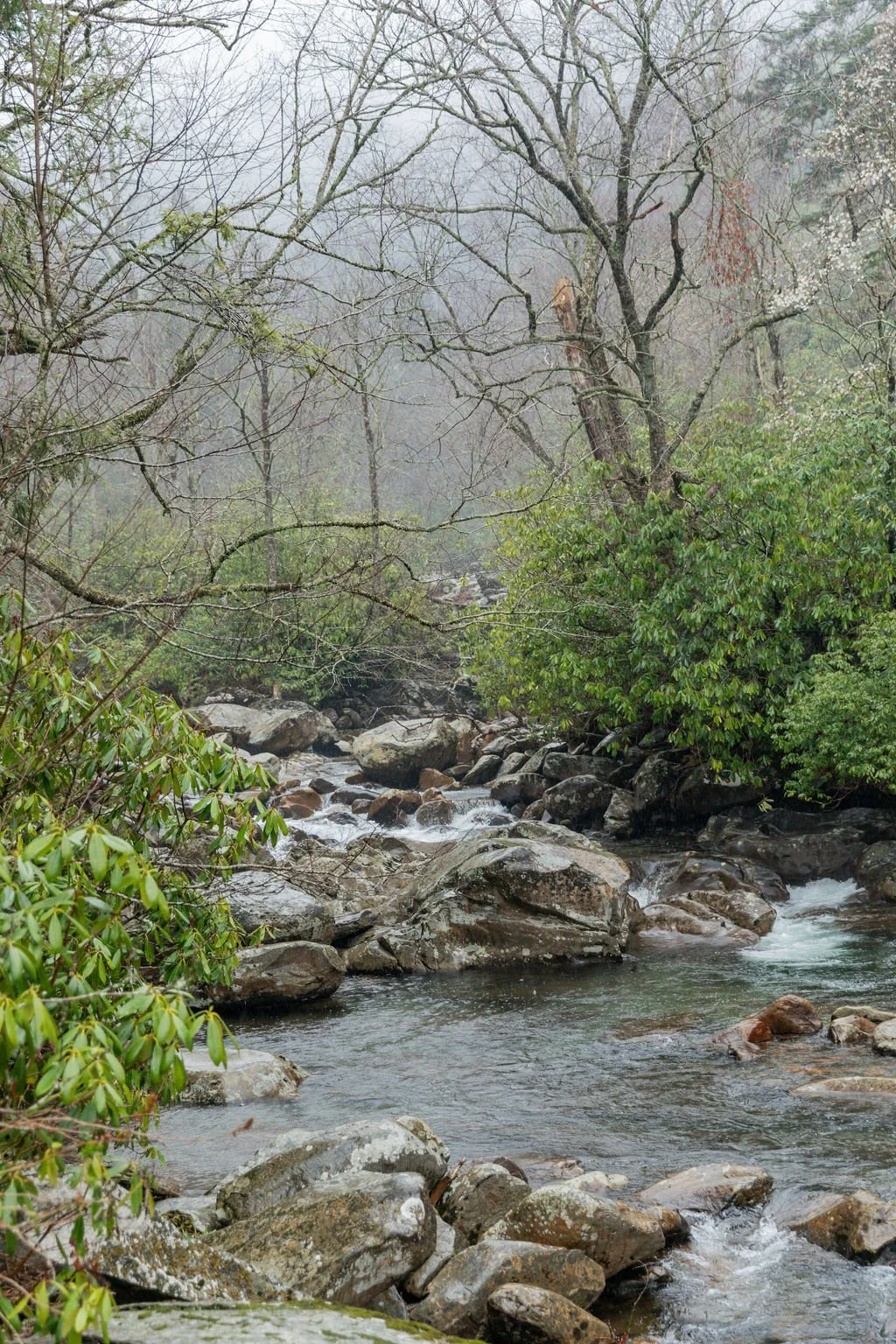 IMG_0381.jpg
