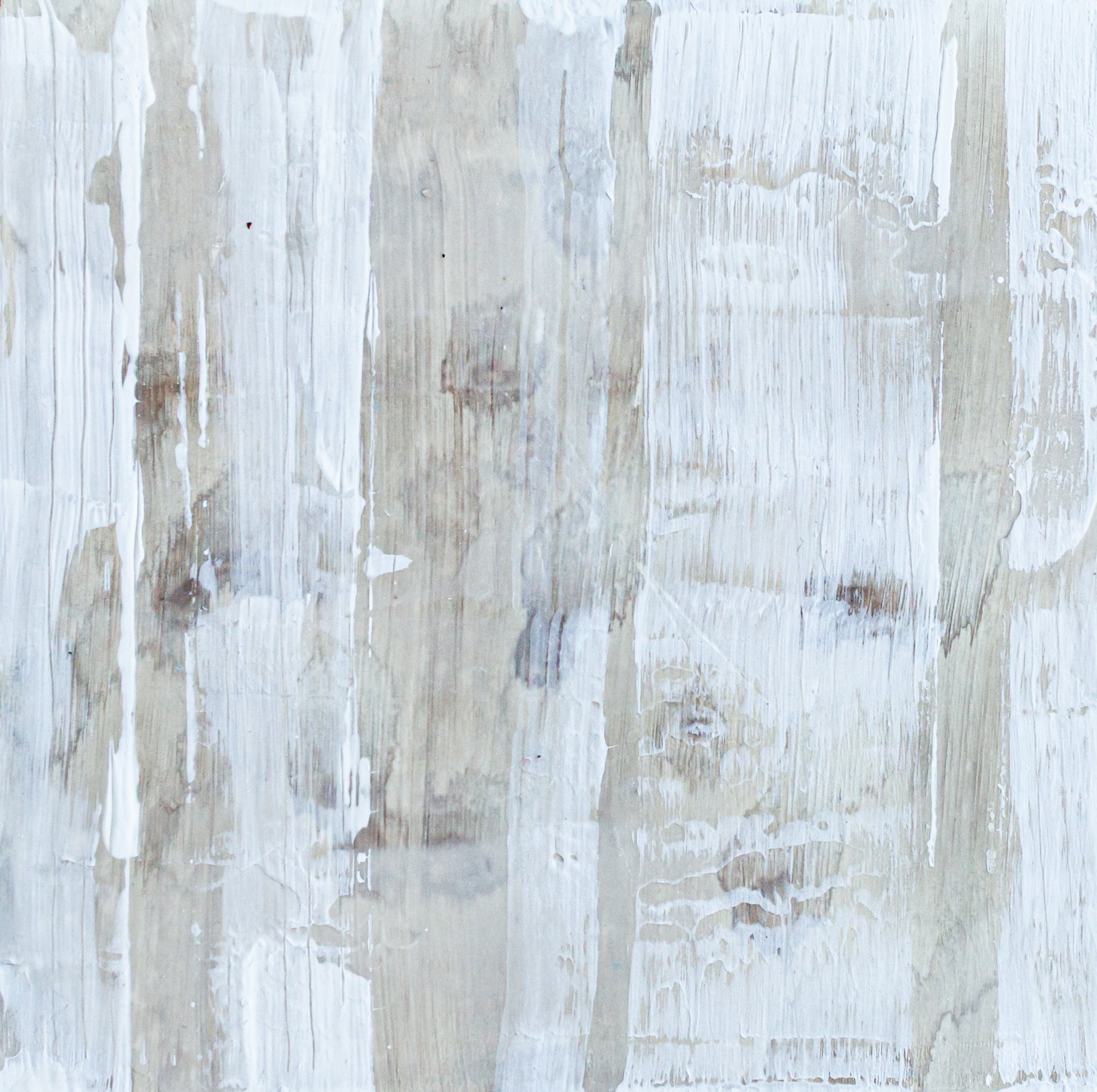 Birch, 2026 | 6x6 inches, acrylic on cradled panel, $200