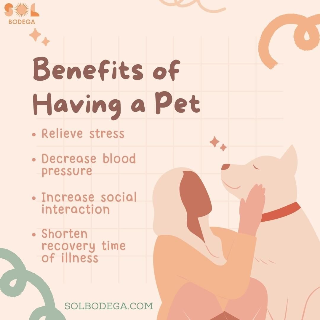 Interacting with animals helps decrease stress, blood pressure and induce happiness. When we have pets they reduce our cortisol levels and decrease loneliness while helping boost our mood. 🐶 🐱

☀️☀️ ☀️ ☀️ Visit SolBodega.com see our holistic lifest