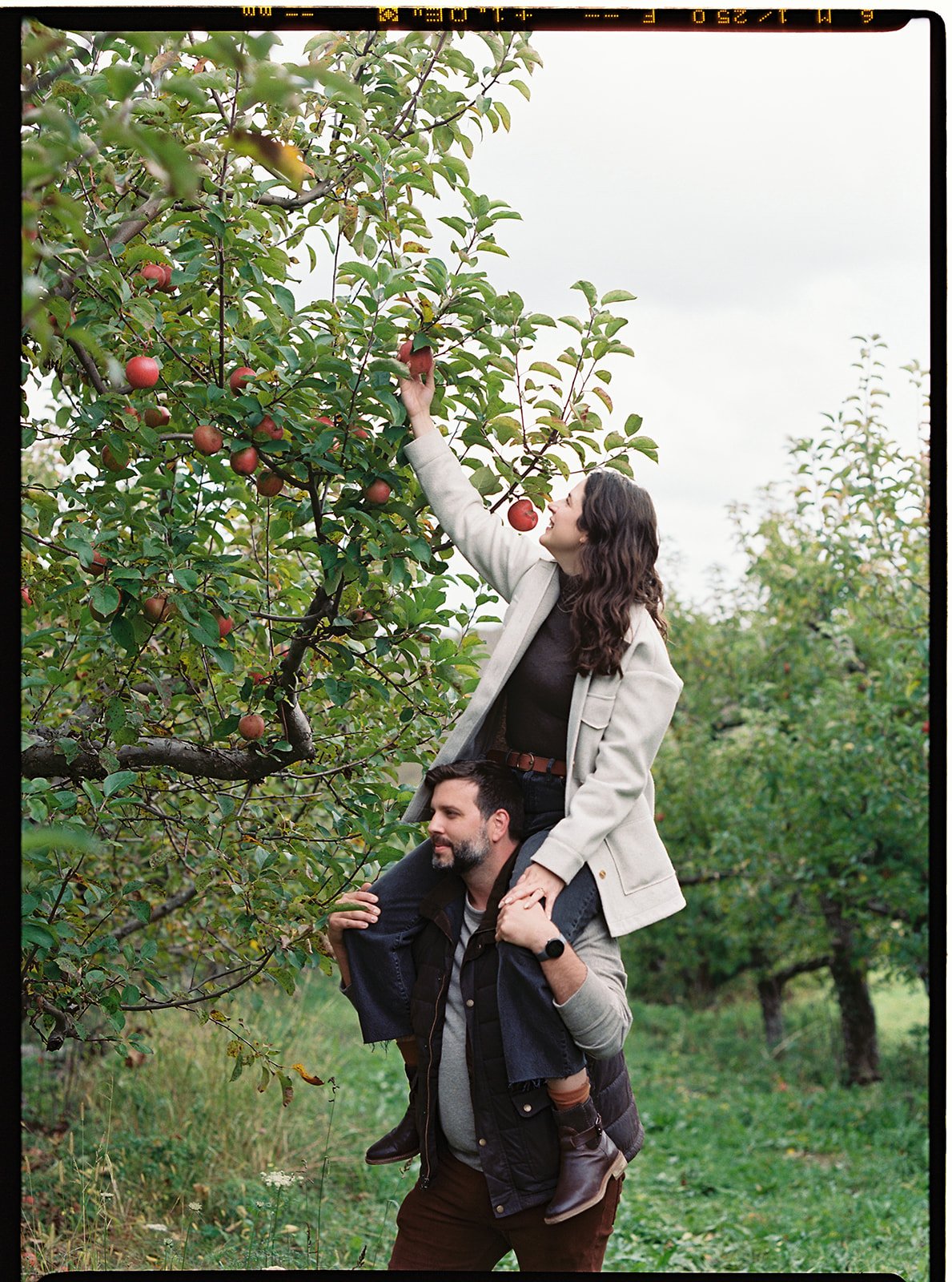 An Apple Picking Wedding Welcome Party - Destination Wedding Photographer - Film  (21).jpg