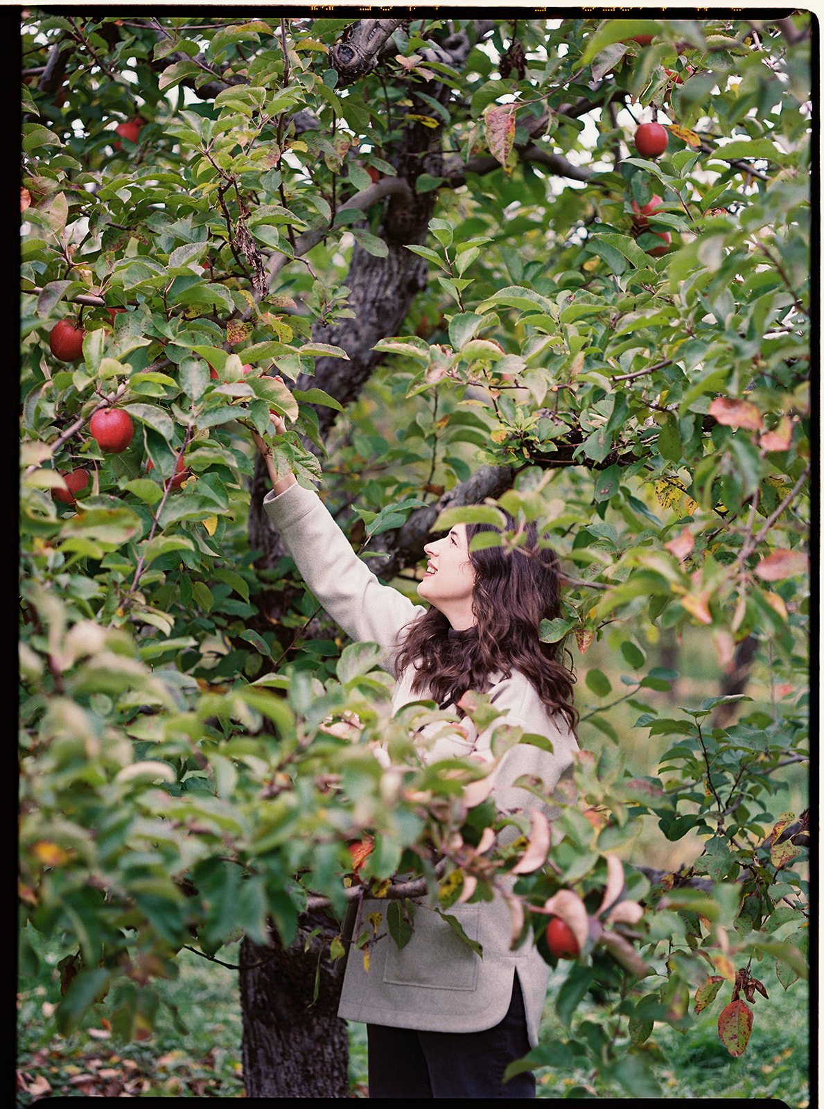 An Apple Picking Wedding Welcome Party - Destination Wedding Photographer - Film  (3).jpg