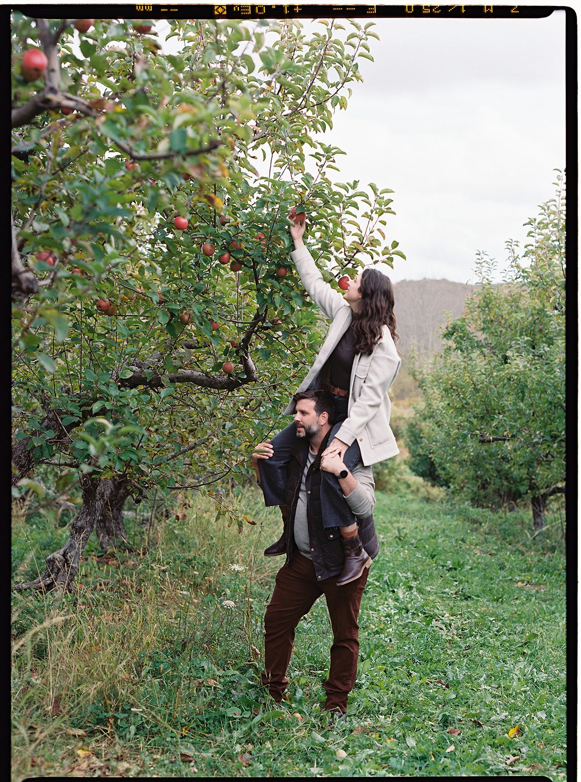 An Apple Picking Wedding Welcome Party - Destination Wedding Photographer - Film  (22).jpg