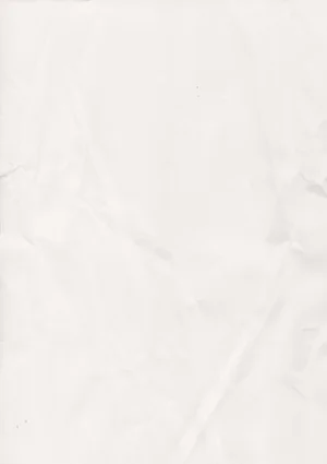 Portfolio — Natalie Nicole