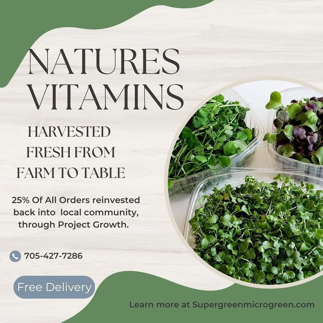 Did you know microgreens are considered a superfood?! Learn more by visiting our website Supergreenmicrogreens.com
.
.
.
.
#microgreens #healthylifestyle #love #guelph #nutrition #nature #organic