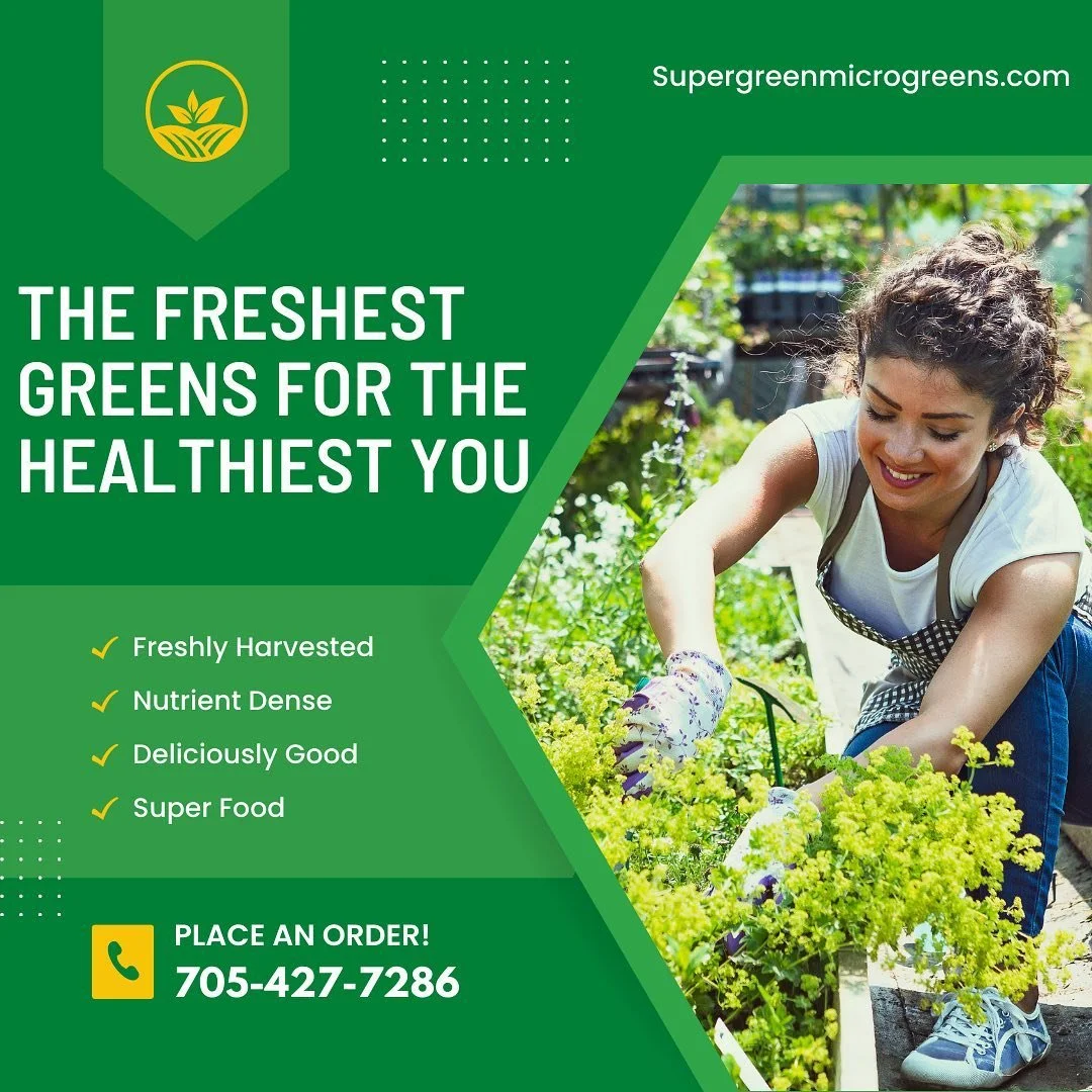 Gratitude is our best friend. We love and appreciate every aspect of life. Stop saying one day and start saying today. Tomorrow is not promised. Eat good, live good.
.
.
.
.
.
#microgreens #guelphontario #kitchenerwaterloo #healthylifestyle #wanderlu