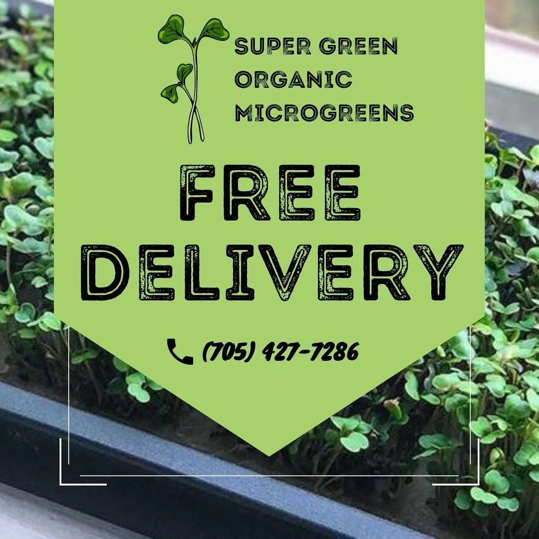 Place an order and get Free delivery 🚚